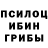 Псилоцибиновые грибы Magic Shrooms Yevhen Kifiak