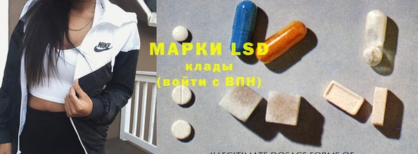 мдпв Гусь-Хрустальный