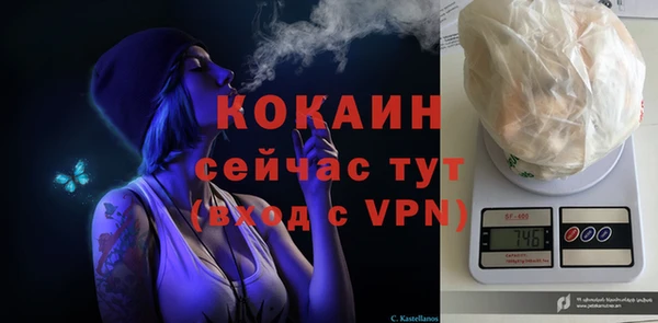 мдпв Гусь-Хрустальный