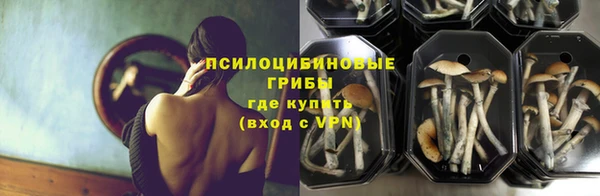 мдпв Гусь-Хрустальный
