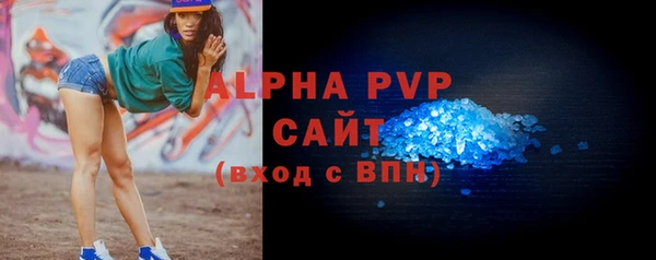 мдпв Гусь-Хрустальный