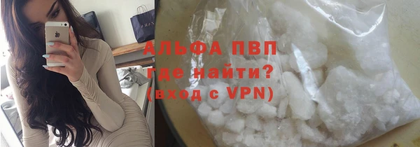 мдпв Гусь-Хрустальный
