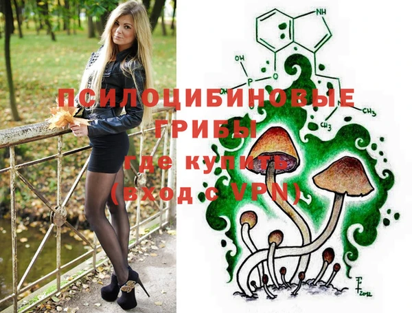 мдпв Гусь-Хрустальный