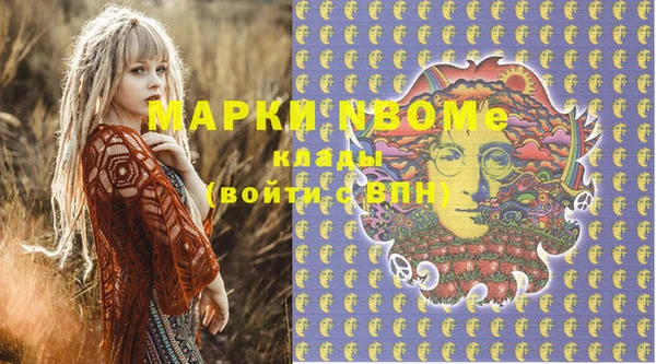 мдпв Гусь-Хрустальный