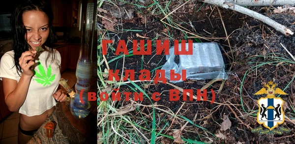 мдпв Гусь-Хрустальный
