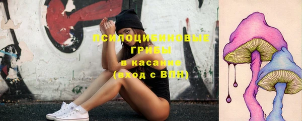 мдпв Гусь-Хрустальный