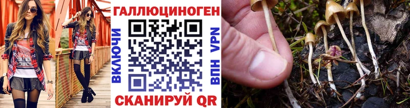 нарко площадка состав  Вологда  Галлюциногенные грибы Magic Shrooms 