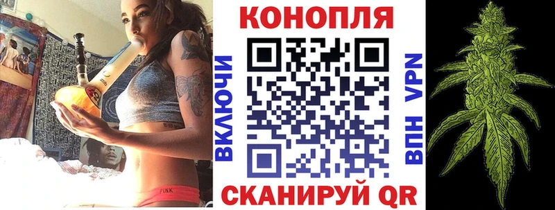 Шишки марихуана тримм  darknet как зайти  Вологда 